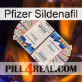 Pfizer Sildenafil kamagra1